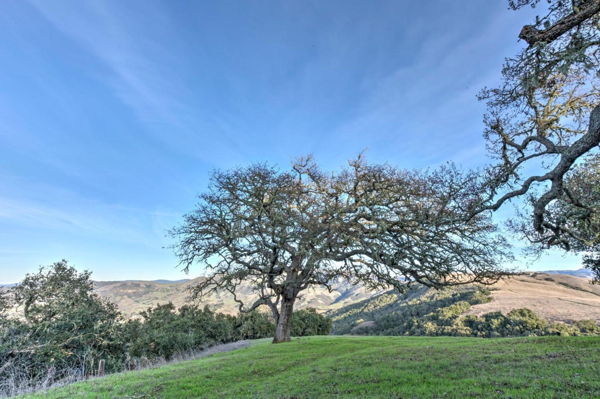 Lx37 Weathertop Ranch In Carmel Wine Country Кармел-Валли Экстерьер фото